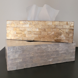 Tissue Box Capiz