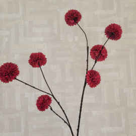 Pom Pom Tak Diverse kleuren