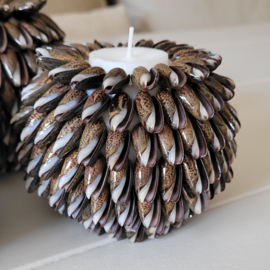 Kaarshouder Schelp Brown 3 maten