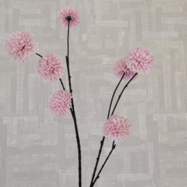 Pom Pom Tak Diverse kleuren