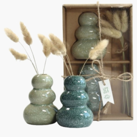 Giftset Vaasjes met droogbloemen groen en roze