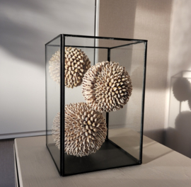 Decoratieve Ballen Kauri Beige  3 maten