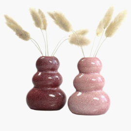 Giftset Vaasjes met droogbloemen groen en roze