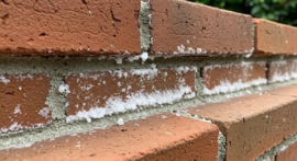 Belgische Woningen Beschermen tegen Vocht