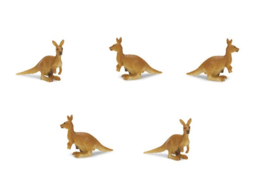 Goodluck mini - kangoeroe