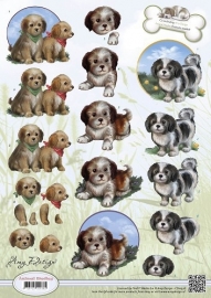 CD10536 Animal Medley - Puppies