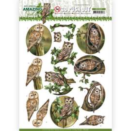 3D Push Out - Amy Design - Amazing Owls - Forest Owls  SB10487