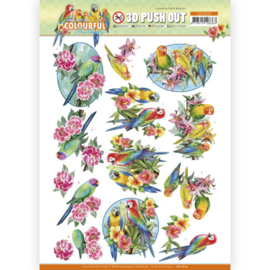 3D Push Out - Amy Design - Colourful Feathers - Parrot  SB10619