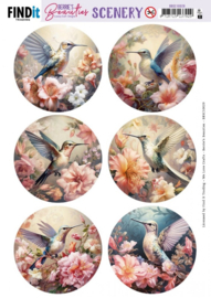 Scenery Push Out - Berries Beauties - Hummingbird - Round BBSC10029