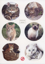 Scenery Parelmoer - WOC - nr05 - Cats - Round