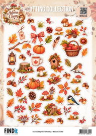 Find It Collection - Cutting Collection - Autumn Charm - Warm & Wonderful CD12551