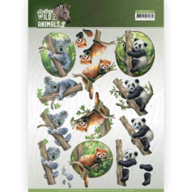 3D Knipvel - Amy Design - Wild Animals - Bears  CD11300-HJ17001