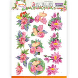 3D Push Out - Jeanine's Art - Exotic Flowers - Pink Flowers SB10571