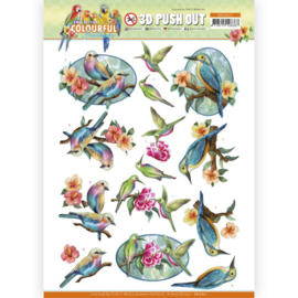 3D Push Out - Amy Design - Colourful Feathers - Hummingbird  SB10621