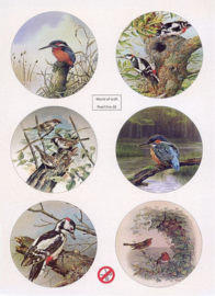 Scenery Parelmoer - WOC - nr38 - Birds - Round
