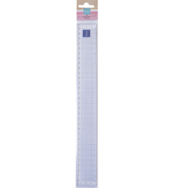 LR0050 - Ruler - 30 cm