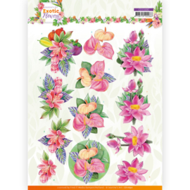3D cutting sheet - Jeanine's Art - Exotic Flowers - Pink Flowers  CD11690