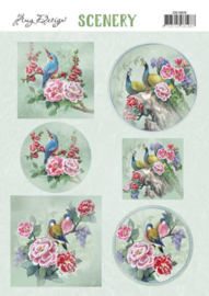 Scenery - Amy Design - Aquarella - Birds  CDS10026
