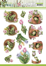 3D Push Out - Amy Design - Friendly Frogs - Flower Frogs SB10526