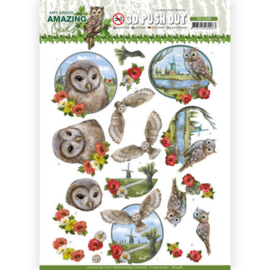 3D Push Out - Amy Design - Amazing Owls - Meadow Ols SB10488