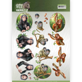 3D Knipvel - Amy Design - Wild Animals - Monkeys  CD11299