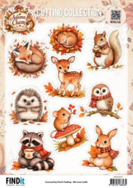 Find It Collection - Cutting Collection - Autumn Charm - Autumn Tales CD12553