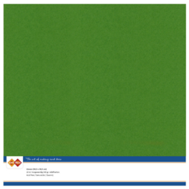 Linnenkarton - SC - Fern Green  LKK-SC60