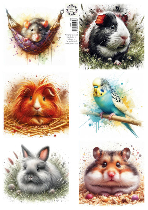 knipvel A4 Friends for Life - little pets 3