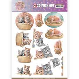 3D Pushout - Amy Design - Cats World - Kittens   SB10380