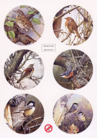 Scenery Parelmoer - WOC - nr25 - Birds - Round
