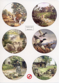 Scenery Parelmoer - WOC - nr15 - Birds - Round