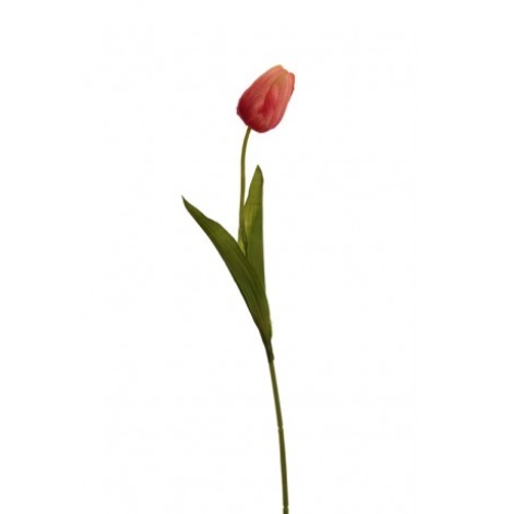 tulp,kunstbloemen