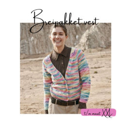 Breipakket Vest Funny Socks