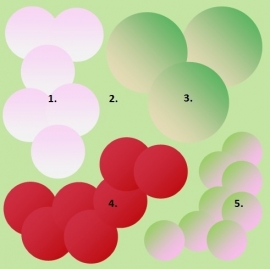 Roze border zonnige standplaats - Border 1