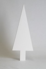 Driehoekboom Hoogte 50 cm