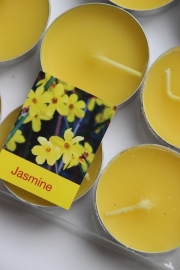 Waxinelichtjes `Jasmine`