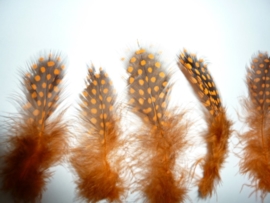AM.126- ca. 100 stuks AA-kwaliteit parelhoenveertjes van 5-11cm lang oranje