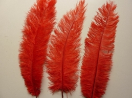 2000901- 1 x luxe grote pluizige moulin rouge veer van 30 - 40cm lang in rood