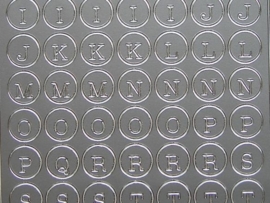 309- letters zilver 10x20cm