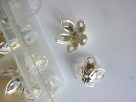 CH.pm0034 - vakkendoos met 5 kleuren kralenkapjes van ca. 18 mm.
