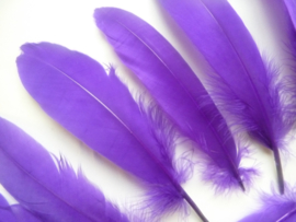 AM.422 - 10 stuks ganzenveren van 15-20cm lang paars/violet