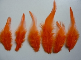 AM.311 -  15 stuks (2 gram) hanenveren van 12 tot 15cm lang oranje