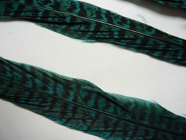 AM.123- 5 stuks ringneck fazantveren van 23-26cm lang turquoise