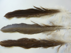 AM.121 - 3 stuks adelaars veren van 28 - 35 cm. 2e keus