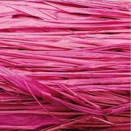 008536/0279- 20gram natuurraffia fuchsia