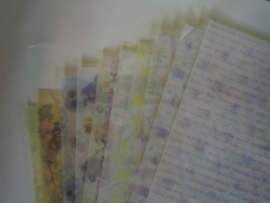 assortiment met 10 verschillende vellen A4 vellum