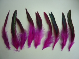 AM.93- 15 stuks hanenveren hard roze met oliekleurige gloed 12-20cm lang