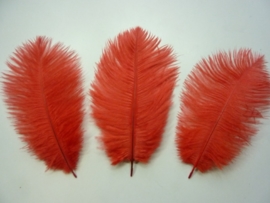 AM.154- 3 stuks struisvogelveer moulin rouge veren van 16-21cm lang rood