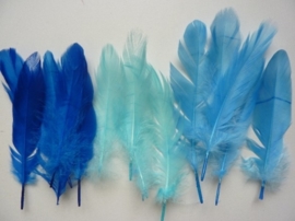 12238/3802- ca. 15 stuks ganzenveren van 12 tot 20cm lang 3 tinten blauw