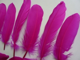 AM.401- 10 stuks ganzenveren van 15-20cm lang fuchsia